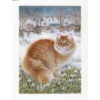 Открытка. Фауна. Животные. Кот. Коты. Котики. Подснежники. Худ. Т.Хазова (чистая)