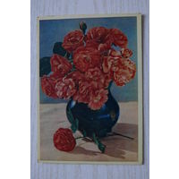 Шагин И.(фото), Полиантовые розы; 1960, чистая.