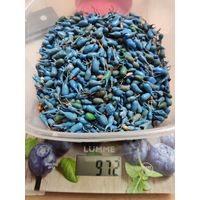 Конденсаторы 972гр