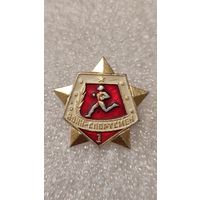 Значек знак Воин-спортсмен, 200 лотов с 1 рубля,5 дней!