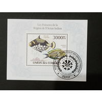 ФАУНА РЫБЫ МОРСКИЕ ОБИТАТЕЛИ    БЛОК  сто