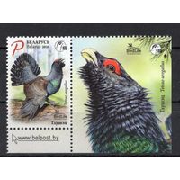 Беларусь 2020.Птица года Глухарь 1марка+купон (1068)