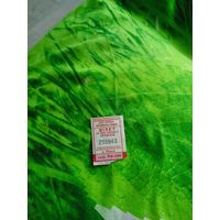 Талон на проезд ( Пинск,серия РФ-006) 2023 год