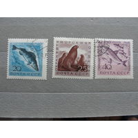 Продажа коллекции с 1 рубля! Почтовые марки СССР.