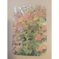 Календарь 1989/13