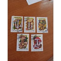 1986 СССР флора грибы клей MNH** (4-1)