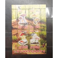 Конго. 2012 год. Флора. Грибы. Блок (1006)