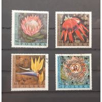 Распродажа с 1 рубля! Флора. Польша. 1968 год. Цветы (4 марки из серии)