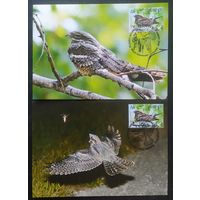 Беларусь 2021 КМ птица года, козодой обыкновенный, тираж 30 экз.