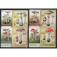 Беларусь 2022. Грибы 4марки+купоны (1199)