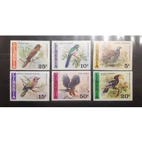 Либерия. Фауна. Птицы (371)