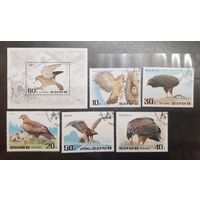 Корея. 1992 год. Фауна. Хищные птицы. Блок и 5 марок (449)