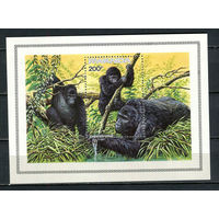 Руанда - 1985 - Гориллы - [Mi. bl. 103] - 1 блок. MNH.  (Лот 48JR)-T3P46