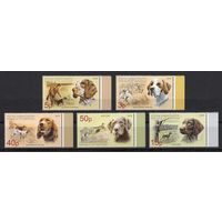 Абхазия 2019. Охотничьи собаки. Охота 5 марок (1001)