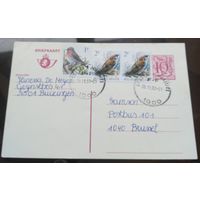 1993 год Бельгия Птички