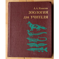 А. А. Яхонтов. Зоология для учителя: хордовые
