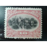 Мозамбик, колония Португалии, 1925. Сбор чая.