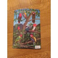 Сьерра Леоне малый лист 2000 г . Попугаи.