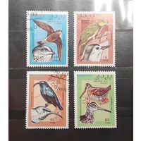 Сахара. 1993 год. Фауна. Птицы (372)