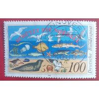 Германия, 1990 г., фауна Северного моря