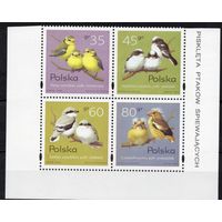 Польша 1995. Птицы. Mi 3567-70