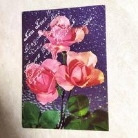 Открытка. Цветы. ГДР. Поздравление Тёти.