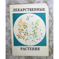 Лекарственные растения. Пособие-определитель. выпуск 3.