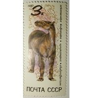 СССР 1990 год. Ископаемые животные. **чист.