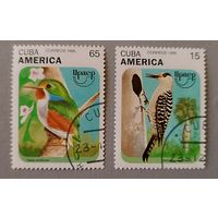 Птицы. Куба, 1995