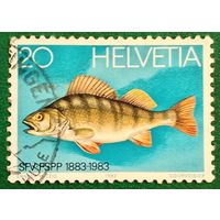 Швейцария 1983. Окунь
