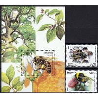 Пчелы, осы, шмели. Фауна 2004. Беларусь. Полная серия 2 марки + блок. **
