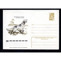 Художественный маркированный конверт СССР N 12770 (07.04.1978) Охотничьи собаки  Английский сеттер