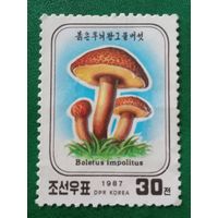КНДР 1987. Грибы. Boletus Impolitus