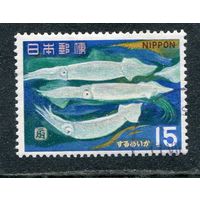 Япония. Фауна моря