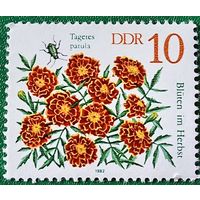 ГДР 1982. Цветы. Бархатцы отклоненные