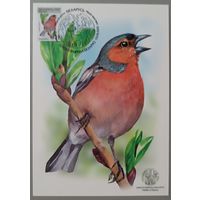 Картмаксимум "Зяблик". Дикая природа Беларуси.