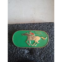 Конный спрорт 2