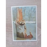 Календарик 1990