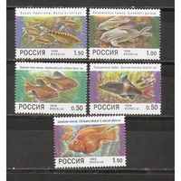 ФФ1 Россия 1998 Рыбы