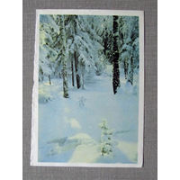 С026-0024 Открытка Зимний лес Фрагмент Мягкая тонкая бумага