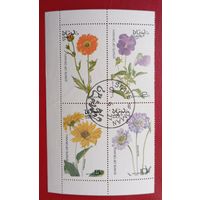 Оман, 1977 г., цветы