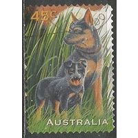 Австралия. Собаки. Овчарка и бульдог. 1996г. Mi#1597.
