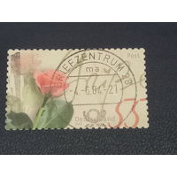 Германия.2003г.Цветы.