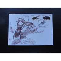 Продажа коллекции с 1 рубля! КПД Беларуси.