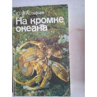 На кромке океана