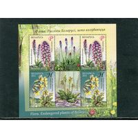 Беларусь 2011. Флора. Охраняемые растения. Малый лист