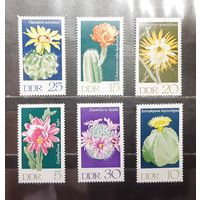 Германия. 1970 год. Флора. Кактусы (1587)