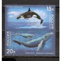 ФФ1 Россия 2012 Киты