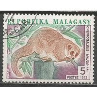Республика Мадагаскар. Лямур. 1973г. Mi#698.