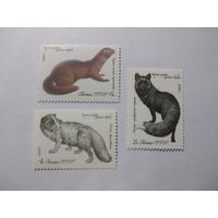 СССР 1980 ЦЕННЫЕ ПОРОДЫ ПУШНЫХ ЗВЕРЕЙ